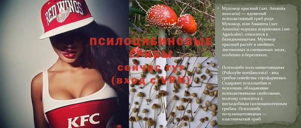 круглые Коряжма