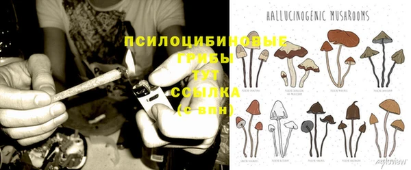 героин Корсаков